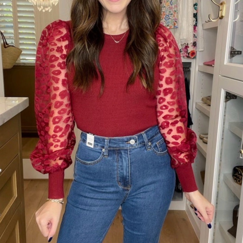 entro Burgundy Puff-Sleeve Top with Sheer Leopard Sleeves